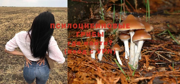 тгк Абдулино