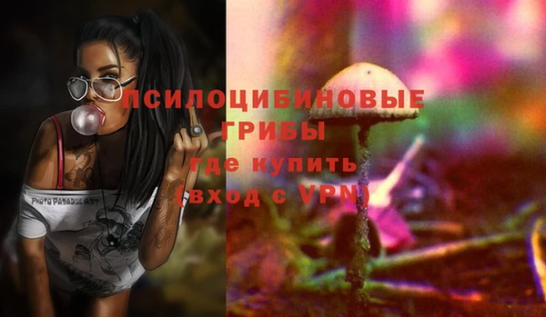 соль ск Слюдянка