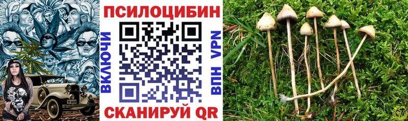 где можно купить наркотик  Ирбит  Псилоцибиновые грибы мухоморы 